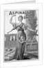 Aspinall's Enamel advertisement by Anonymous