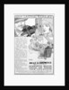 Advert for Bell & Howell personal movie cameras and projectors by Anonymous
