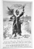 Advert for Brooke's Monkey Brand soap by Anonymous