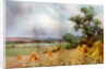 Canterbury from Sturry Wood, Kent by A Montague Rivers