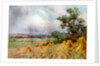 Canterbury from Sturry Wood, Kent by A Montague Rivers