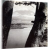 Mount Fuji, seen from the northwest, through pines at Lake Motosu, Japan by Underwood & Underwood