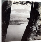 Mount Fuji, seen from the northwest, through pines at Lake Motosu, Japan by Underwood & Underwood