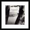 Mount Fuji, seen from the northwest, through pines at Lake Motosu, Japan by Underwood & Underwood