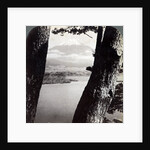 Mount Fuji, seen from the northwest, through pines at Lake Motosu, Japan by Underwood & Underwood