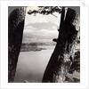 Mount Fuji, seen from the northwest, through pines at Lake Motosu, Japan by Underwood & Underwood