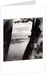 Mount Fuji, seen from the northwest, through pines at Lake Motosu, Japan by Underwood & Underwood