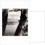 Mount Fuji, seen from the northwest, through pines at Lake Motosu, Japan by Underwood & Underwood