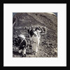 Pilgrims at the end of their ascent of Mount Fuji (Fujiyama), Japan by Underwood & Underwood