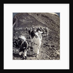 Pilgrims at the end of their ascent of Mount Fuji (Fujiyama), Japan by Underwood & Underwood