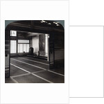 Home of Count Okuma, Tokyo, Japan by Underwood & Underwood