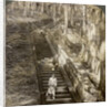 Ancient stone stairway up the hill to the tomb of Shogun Ieyasu, Nikko, Japan by Underwood & Underwood