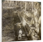 Ancient stone stairway up the hill to the tomb of Shogun Ieyasu, Nikko, Japan by Underwood & Underwood