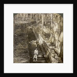 Ancient stone stairway up the hill to the tomb of Shogun Ieyasu, Nikko, Japan by Underwood & Underwood