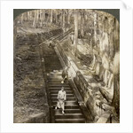 Ancient stone stairway up the hill to the tomb of Shogun Ieyasu, Nikko, Japan by Underwood & Underwood