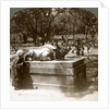 Devout woman stroking a bronze bull to cure rheumatism, Kitano Tenjin temple, Kyoto, Japan by Underwood & Underwood