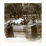 Devout woman stroking a bronze bull to cure rheumatism, Kitano Tenjin temple, Kyoto, Japan by Underwood & Underwood