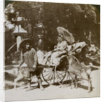 Girl feeding sacred deer on her way to prayers, grounds of Kasuga Temple, Nara, Japan by Underwood & Underwood