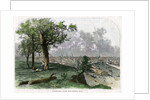 Cleveland, from Scranton's Hill, Ohio, USA by Harley