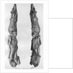 Point of mammoth tusk carved with reindeer, from Montastruc, Bruniquel, France by Anonymous