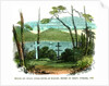 English and Russian burial-ground, at Nagasaki, secured by treaty, November 1855 by Anonymous