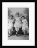 Three young women, photographed in Gales Studios by Anonymous