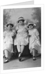 Three young women, photographed in Gales Studios by Anonymous