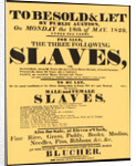 A bill advertising a West Indian slave auction in 1829 by Anonymous