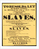 A bill advertising a West Indian slave auction in 1829 by Anonymous