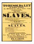 A bill advertising a West Indian slave auction in 1829 by Anonymous
