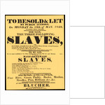 A bill advertising a West Indian slave auction in 1829 by Anonymous