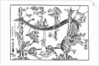 The Snake and the Frog by Kawanabe Kyôsai