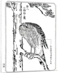 A hawk by Kawanabe Kyôsai