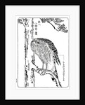 A hawk by Kawanabe Kyôsai