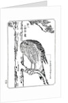 A hawk by Kawanabe Kyôsai