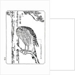 A hawk by Kawanabe Kyôsai