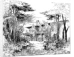 The log house 'Idaho', near Ringwood, Hampshire by Edward William Charlton