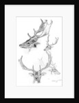 Stags' heads by Henry Moore