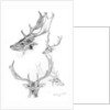 Stags' heads by Henry Moore