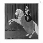 A woman sitting on a rearing horse by Aubrey Beardsley