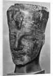 Amenhotep III (1390 BC-1352 BC), Ancient Egyptian Pharoah by Anonymous