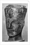 Amenhotep III (1390 BC-1352 BC), Ancient Egyptian Pharoah by Anonymous