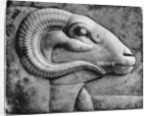 A ram's head, Egypt by Anonymous