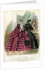 Parisian fashions of the 19th century by Anonymous