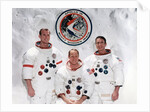 The crew of the Apollo 15 Mission at the Manned Spacecraft Centre, Houston, Texas by NASA