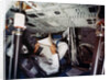 An astronaut inside a NASA Command Module by NASA