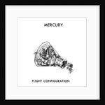 A NASA Mercury-Atlas Module by NASA