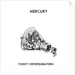 A NASA Mercury-Atlas Module by NASA