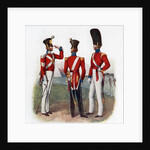 Uniform of the 86th Regiment by Anonymous
