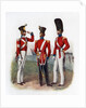 Uniform of the 86th Regiment by Anonymous